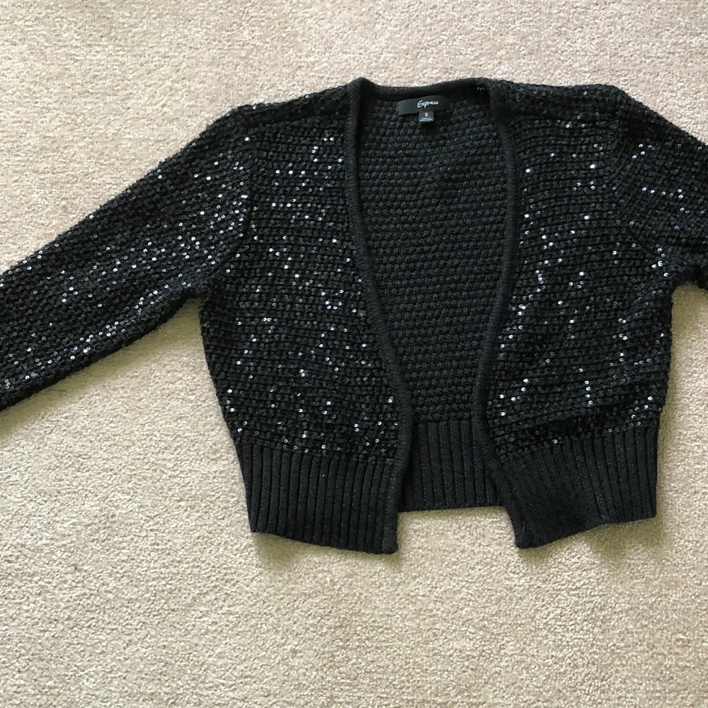 Express holiday sequin sweater